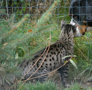 dsc_0973.jpg